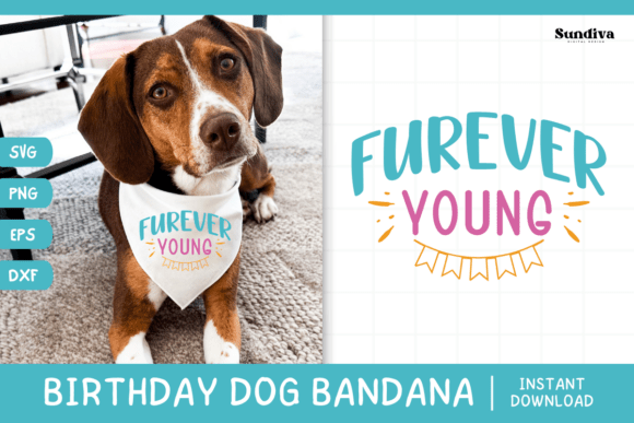 Cute Birthday Dog Bandana Quote SVG 13 Review