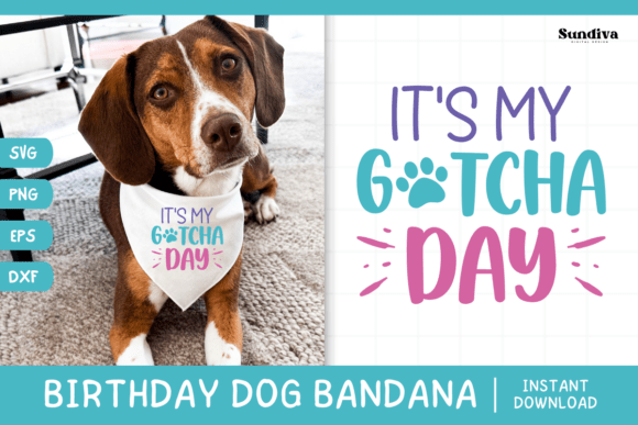 Cute Birthday Dog Bandana Quote SVG 8 Review for Real Projects