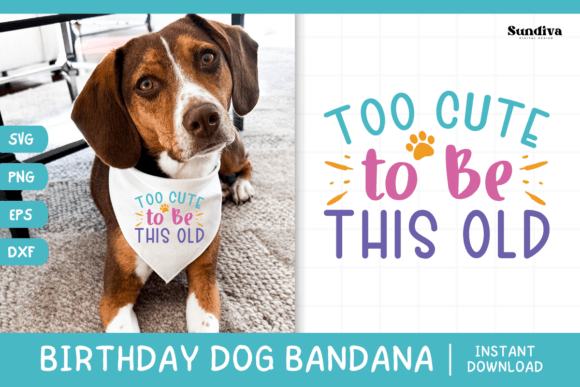Cute Birthday Dog Bandana Quote SVG for Real Embroidery Projects