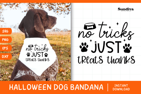 Funny Halloween Dog Bandana Quote SVG 10 Review for Real Projects