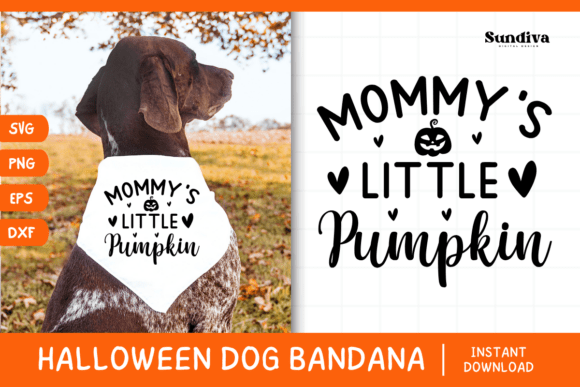 Funny Halloween Dog Bandana Quote SVG 12 Review for Real Projects