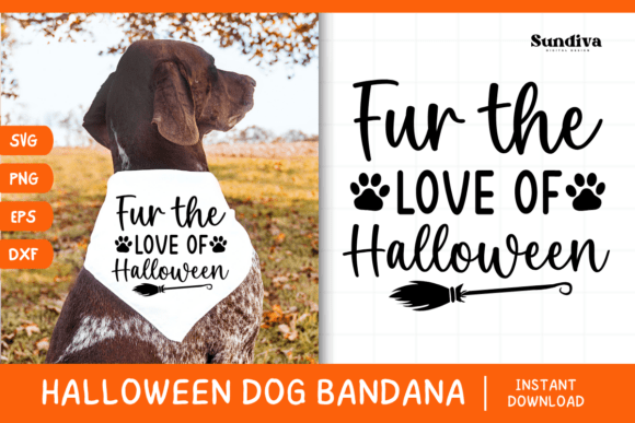 Funny Halloween Dog Bandana Quote SVG 22 Review for Real Projects