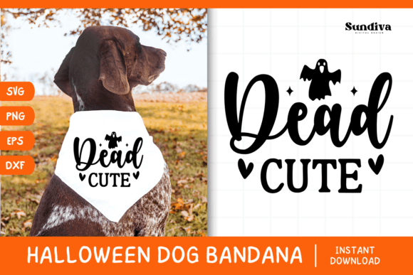 Funny Halloween Dog Bandana Quote SVG 25 Review: A Designer’s Take
