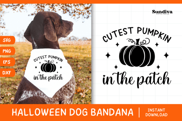 Funny Halloween Dog Bandana Quote SVG 26 Review for Real Projects