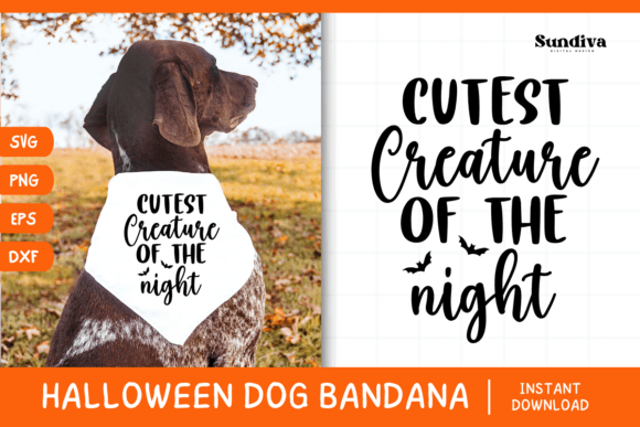 Funny Halloween Dog Bandana Quote SVG 27 Review for Real Projects