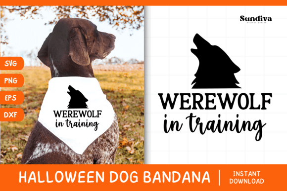 Funny Halloween Dog Bandana Quote SVG 30 Review for Real Projects
