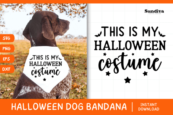 Funny Halloween Dog Bandana Quote SVG 7 Review for Real Projects